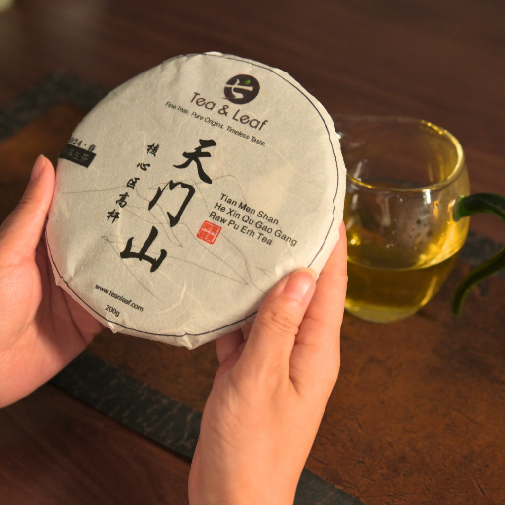 Tea & Leaf Spring 2024 Tianmen Mountain Core Region Tall Arbor Ancient Tree Raw Pu-erh Tea 200g – Lifestyle Image Holding Wrapped Tea Cake with Brewed Tea Cup