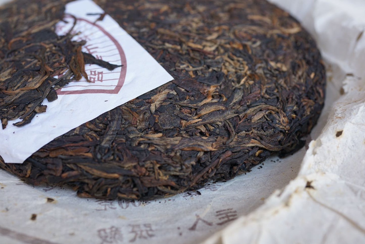 Close-up of vintage 2004 Shun Shi Xing Yiwu Ancient Tree raw Pu-erh tea cake — aged Sheng Pu-erh with natural dry aging, tight compression, and visible golden tea buds highlighting premium Yiwu mountain quality – Tea & Leaf.