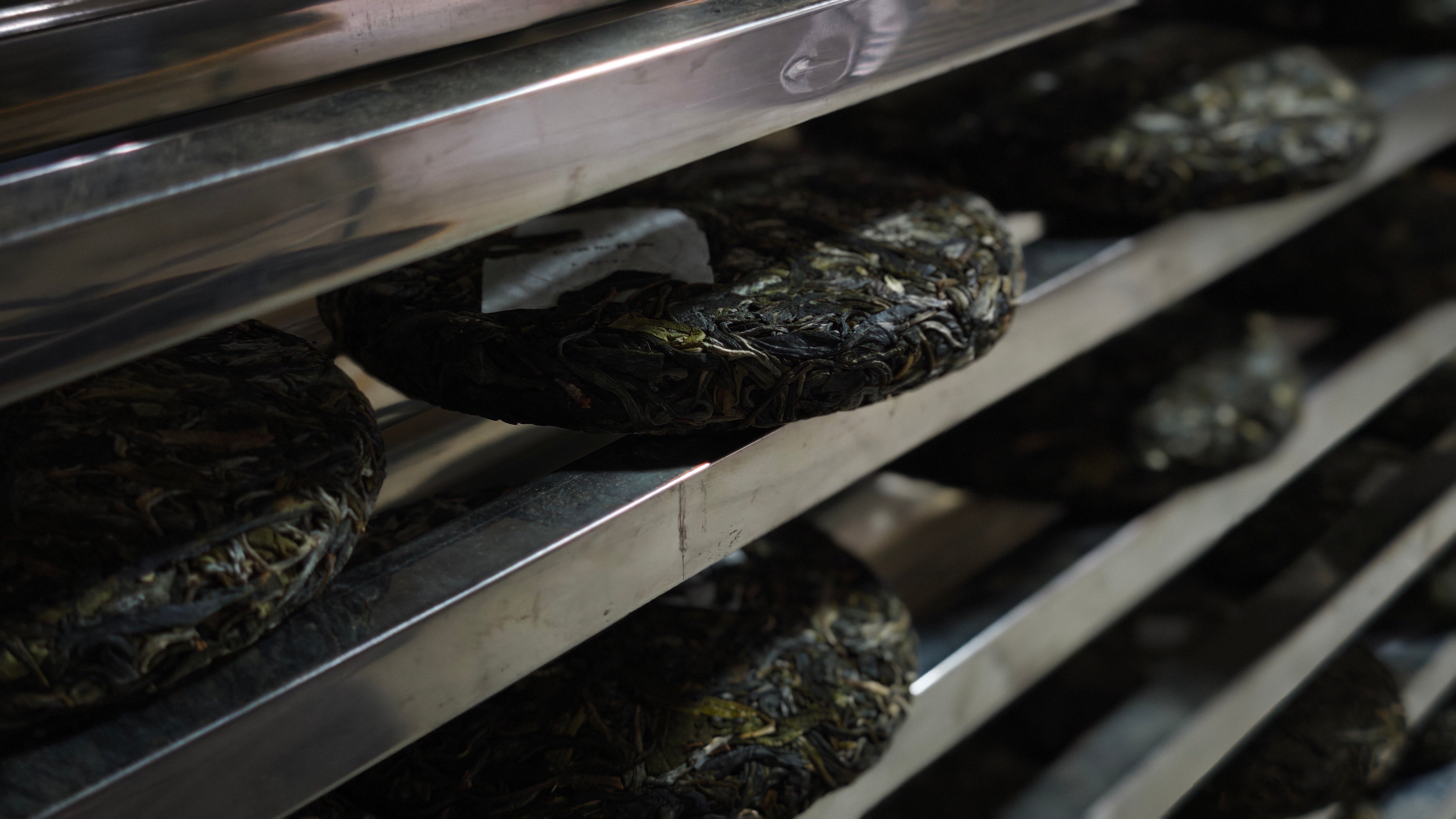 Raw vs Ripe Pu-erh Tea: Understanding the True Difference | Tea & Leaf