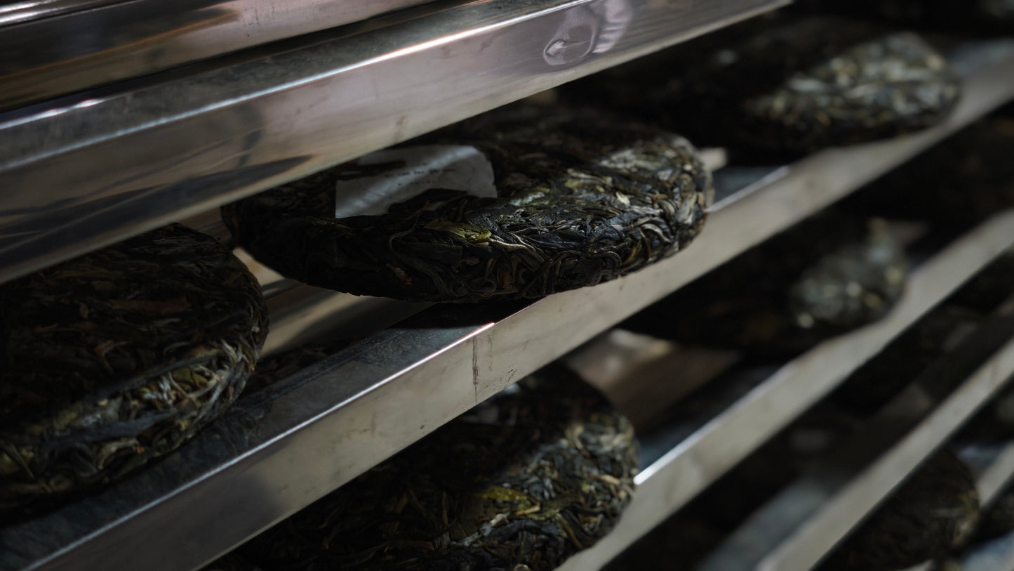 Compressed Yunnan Pu-erh tea cakes aging on metal racks during traditional Pu-erh processing in Menghai, China.
