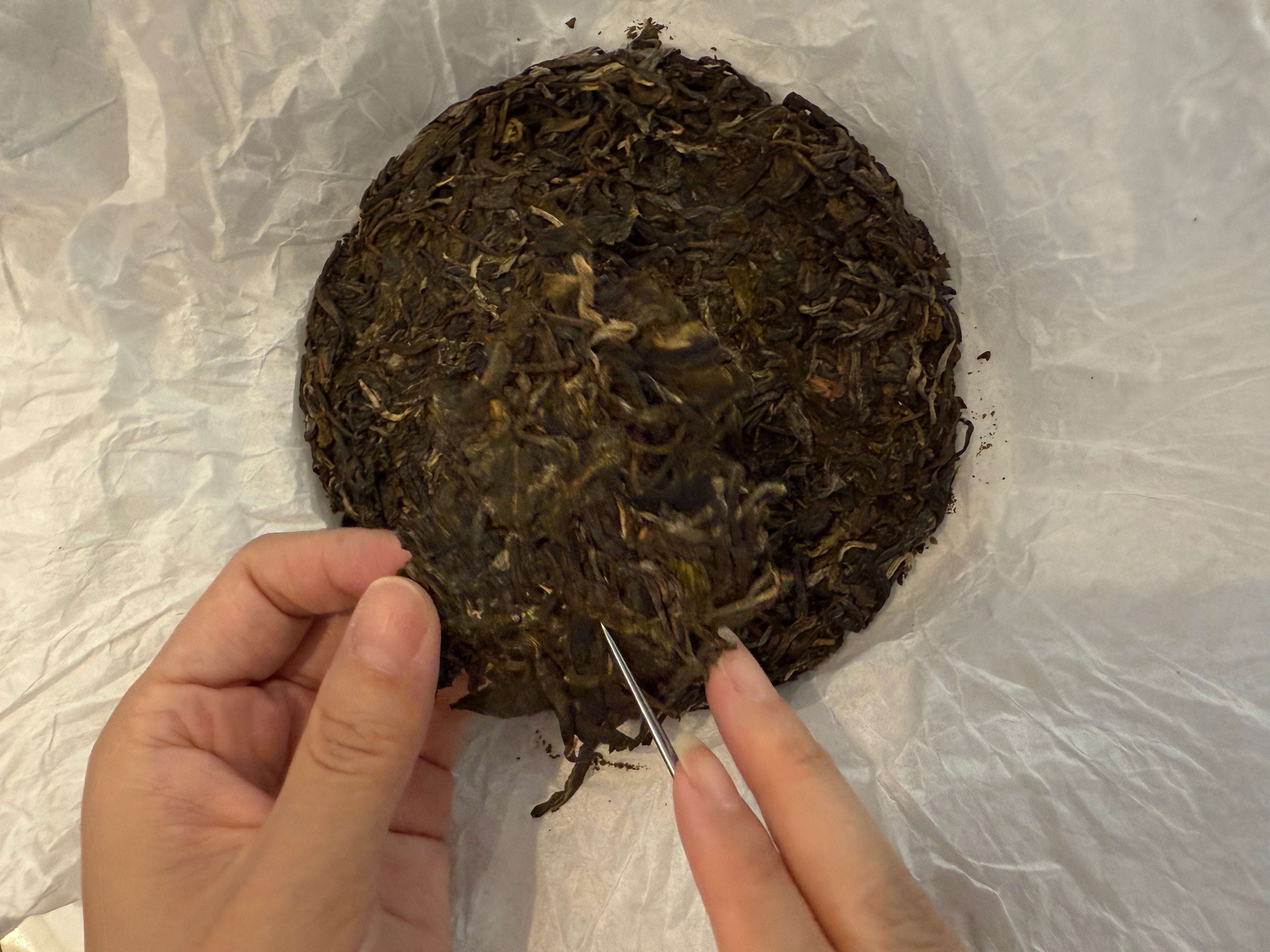 Raw vs Ripe Pu-erh Tea: Taste, Benefits & Which One to Choose | Tea & Leaf