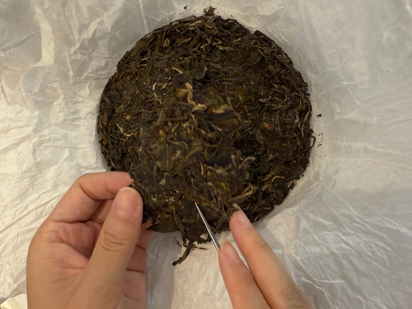 Raw vs ripe Pu-erh tea comparison of sheng and shou cakes from Yunnan