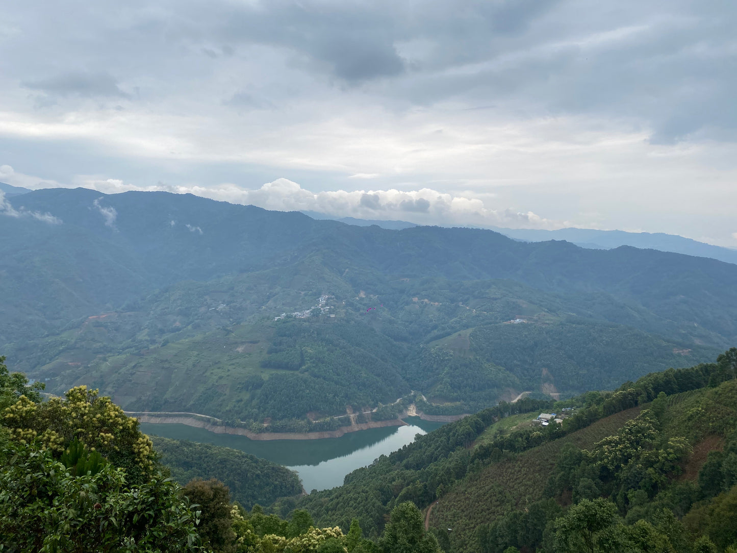 Introducing the Six Major Types of Chinese Tea