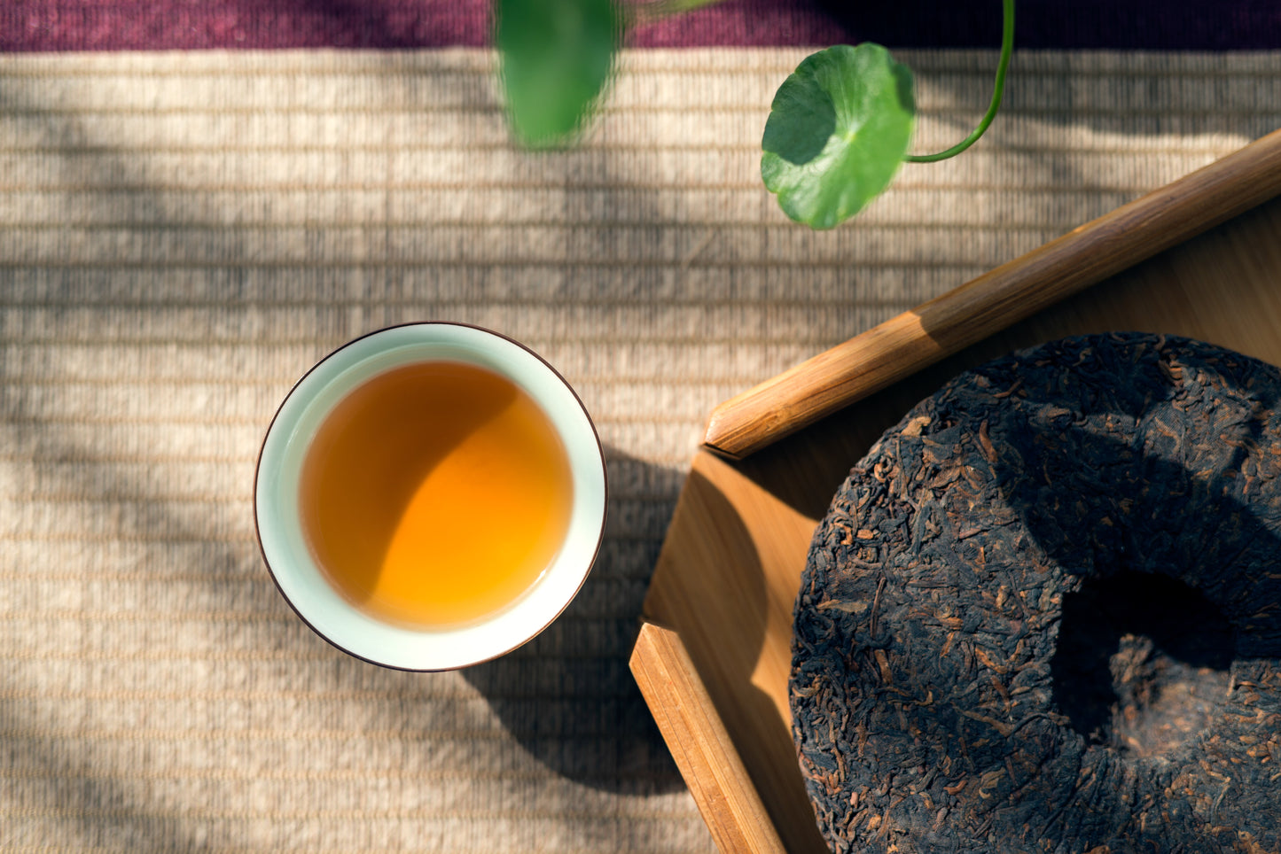 Cup of brewed Pu-erh tea beside a compressed aged Pu-erh tea cake on a bamboo tray — traditional Gongfu tea setup highlighting Yunnan’s famous post-fermented tea.