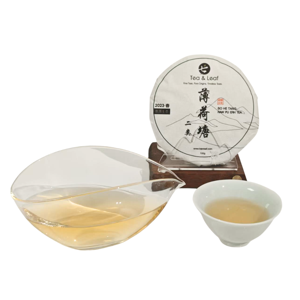 Best Aged Raw Pu Erh Tea in Singapore: A Practical 2026 Guide