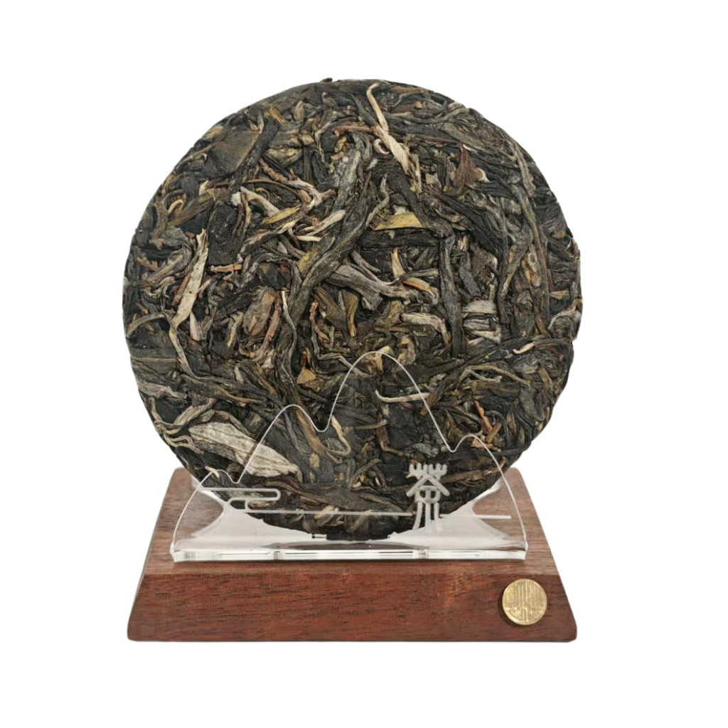 Tea & Leaf 2023 Spring Zhoujia Bohetang Second-Grade Ancient Tree Raw Pu-erh Tea 100g unwrapped cake — Yiwu Sheng Pu-erh made from ancient trees with floral honey aroma, smooth mouthfeel, and refreshing cooling finish.