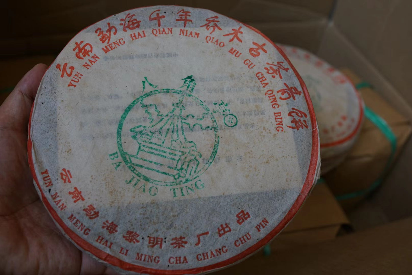 Holding vintage 2002 Millennium Arbor Ancient Tree raw Pu-erh tea cake from Ban Zhang region, featuring Ba Jiao Ting green stamp and original Liming Tea Factory wrapper – Tea & Leaf.